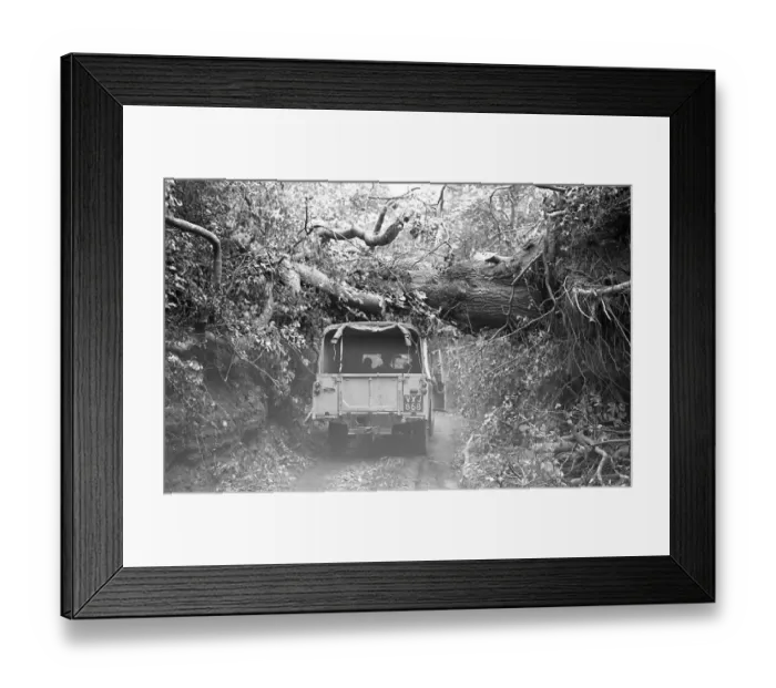 Framed Print : The Great Storm of 1987 - The night of the 15th-16th October - Stories from the Surrey