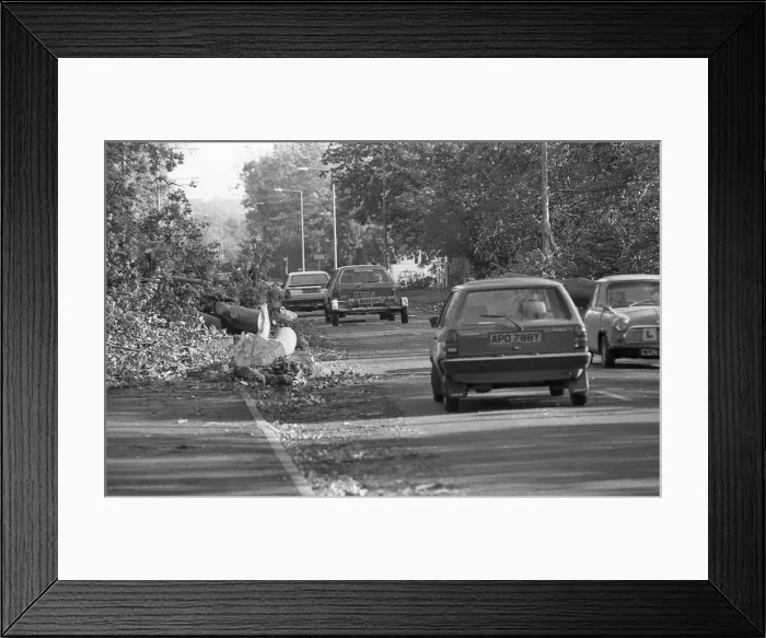 Framed Print : The Great Storm of 1987 - The night of the 15th-16th October - Stories from the Surrey Framed Print : The Great Storm of 1987 - The night of the 15th-16th October - Stories from the Surrey