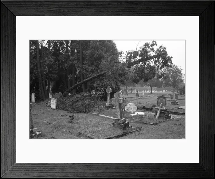 Framed Print : The Great Storm of 1987 - The night of the 15th-16th October - Stories from the Surrey Framed Print : The Great Storm of 1987 - The night of the 15th-16th October - Stories from the Surrey