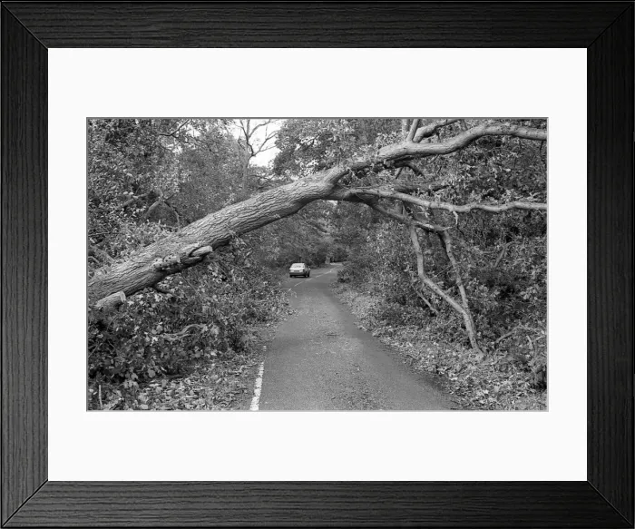 Framed Print : The Great Storm of 1987 - The night of the 15th-16th October - Stories from the Surrey Framed Print : The Great Storm of 1987 - The night of the 15th-16th October - Stories from the Surrey