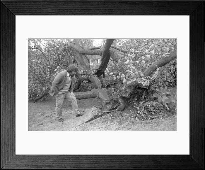 Framed Print : The Great Storm of 1987 - The night of the 15th-16th October - Stories from the Surrey Framed Print : The Great Storm of 1987 - The night of the 15th-16th October - Stories from the Surrey