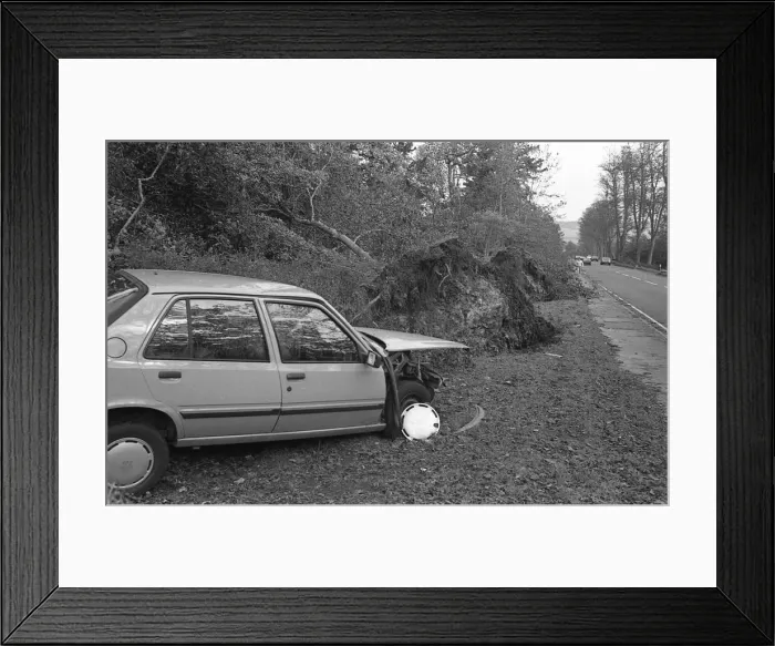Framed Print : The Great Storm of 1987 - The night of the 15th-16th October - Stories from the Surrey Framed Print : The Great Storm of 1987 - The night of the 15th-16th October - Stories from the Surrey