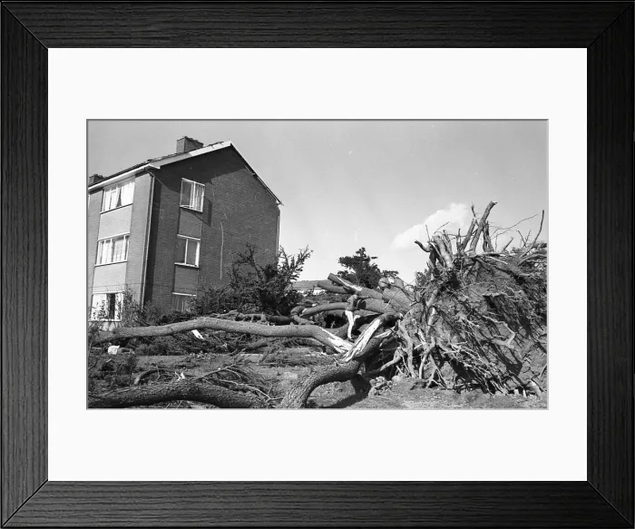 Framed Print : The Great Storm of 1987 - The night of the 15th-16th October - Stories from the Surrey Framed Print : The Great Storm of 1987 - The night of the 15th-16th October - Stories from the Surrey