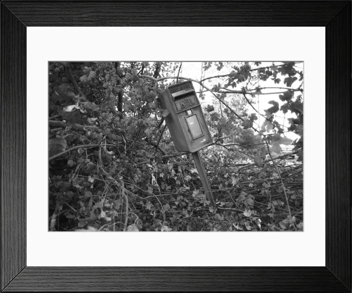 Framed Print : The Great Storm of 1987 - The night of the 15th-16th October - Stories from the Surrey Framed Print : The Great Storm of 1987 - The night of the 15th-16th October - Stories from the Surrey