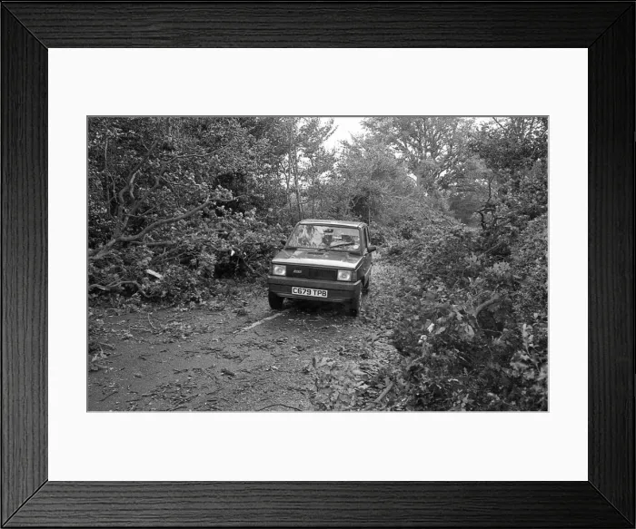 Framed Print : The Great Storm of 1987 - The night of the 15th-16th October - Stories from the Surrey