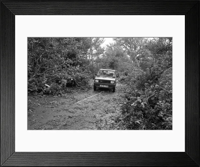 Framed Print : The Great Storm of 1987 - The night of the 15th-16th October - Stories from the Surrey Framed Print : The Great Storm of 1987 - The night of the 15th-16th October - Stories from the Surrey