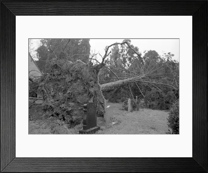 Framed Print : The Great Storm of 1987 - The night of the 15th-16th October - Stories from the Surrey Framed Print : The Great Storm of 1987 - The night of the 15th-16th October - Stories from the Surrey