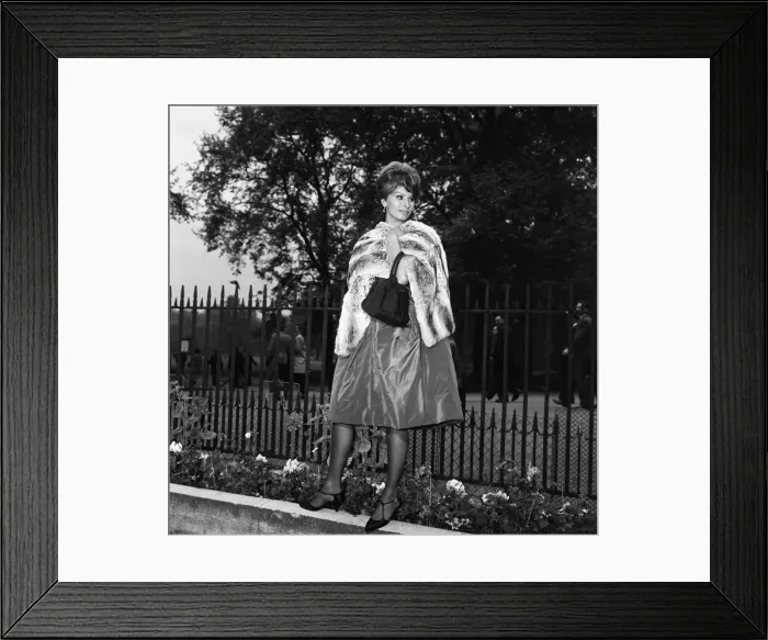 Framed Print : Sophia Loren, who will be starring with Peter Sellers in the Dimitri de Grunwald