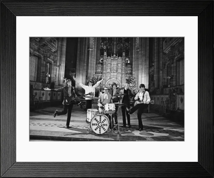 Framed Print : The Bee Gees perform at Liverpool Anglican Cathedral. The Bee Gees are brothers Maurice Framed Print : The Bee Gees perform at Liverpool Anglican Cathedral. The Bee Gees are brothers Maurice