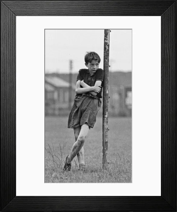 Framed Print : David Bradley, (aged 14) playing the part of Billy Casper, pictured with his Kestral Framed Print : David Bradley, (aged 14) playing the part of Billy Casper, pictured with his Kestral