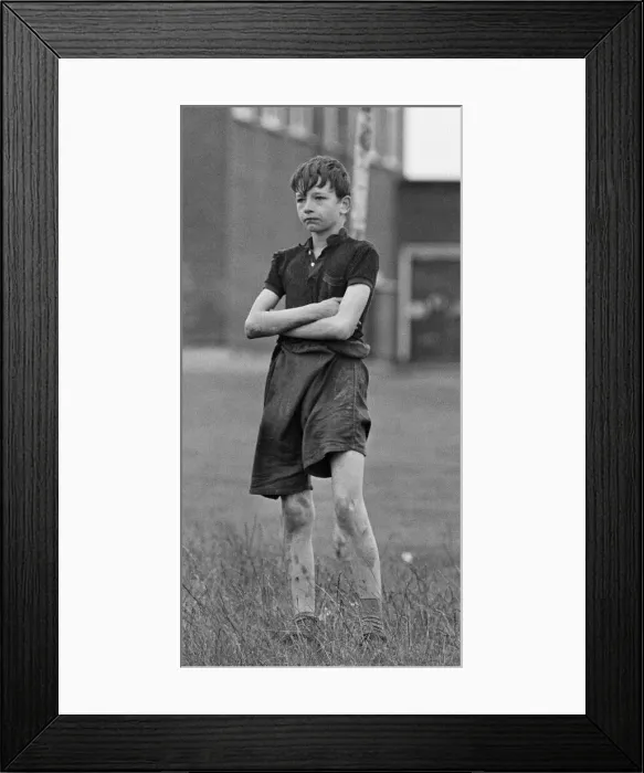 Framed Print : David Bradley, (aged 14) playing the part of Billy Casper, pictured with his Kestral Framed Print : David Bradley, (aged 14) playing the part of Billy Casper, pictured with his Kestral