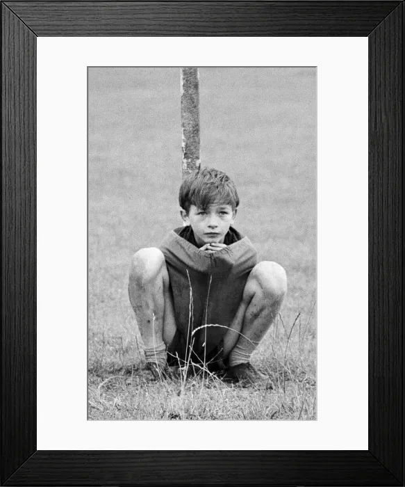 Framed Print : David Bradley, (aged 14) playing the part of Billy Casper, pictured with his Kestral Framed Print : David Bradley, (aged 14) playing the part of Billy Casper, pictured with his Kestral