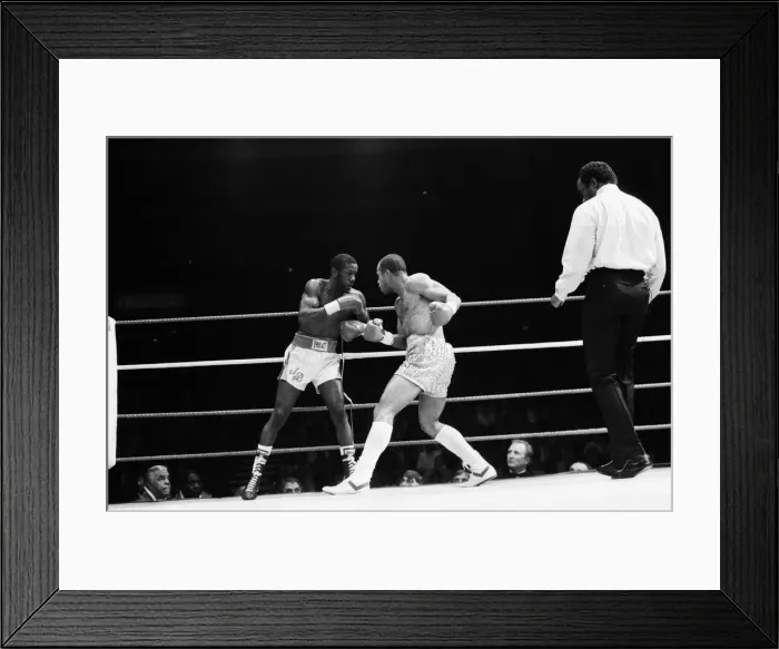 Framed Print : WBC and IBF, welterweight title fight between Lloyd Honeyghan and Johnny Bumphus Framed Print : WBC and IBF, welterweight title fight between Lloyd Honeyghan and Johnny Bumphus
