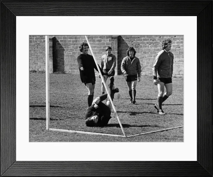 Framed Print : Liverpool footballer Tommy Smith down on the ground after taking a tumble during a light