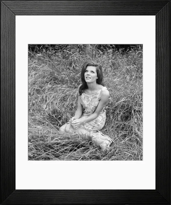 Framed Print : Samantha Eggar, British actress, pictured at Gabriels Manor Farm in Edenbridge Framed Print : Samantha Eggar, British actress, pictured at Gabriels Manor Farm in Edenbridge