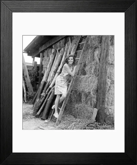 Framed Print : Samantha Eggar, British actress, pictured at Gabriels Manor Farm in Edenbridge Framed Print : Samantha Eggar, British actress, pictured at Gabriels Manor Farm in Edenbridge