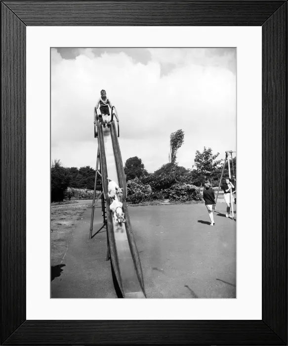 Framed Print : Dogs walking down a slide with children. 21st October 1952 Framed Print : Dogs walking down a slide with children. 21st October 1952