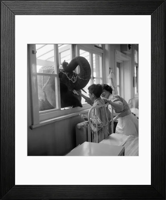 Framed Print : Three year old Juanita Jahn (not pictured), daughter of Harry Jahn Framed Print : Three year old Juanita Jahn (not pictured), daughter of Harry Jahn