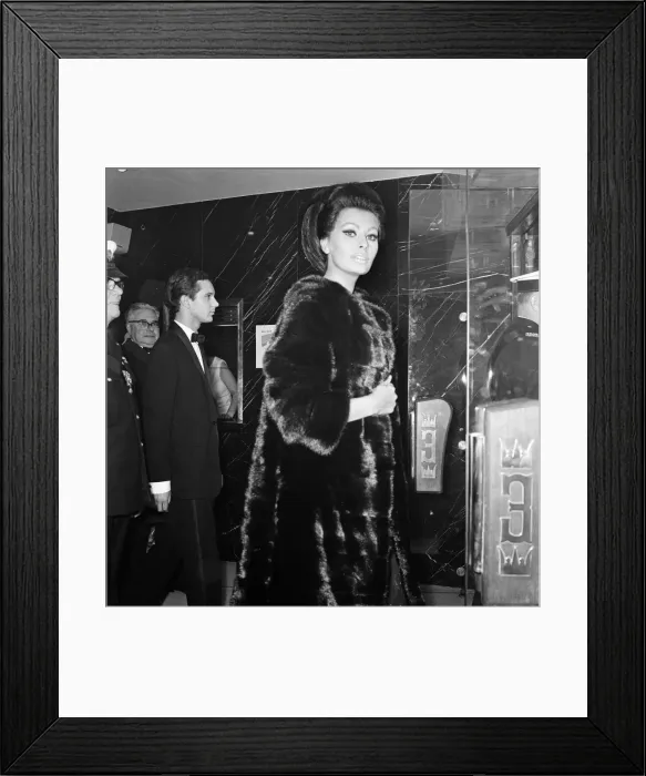 Framed Print : Sophia Loren arrives with her husband Carlo Ponti at the Empire, Leicester Square Framed Print : Sophia Loren arrives with her husband Carlo Ponti at the Empire, Leicester Square