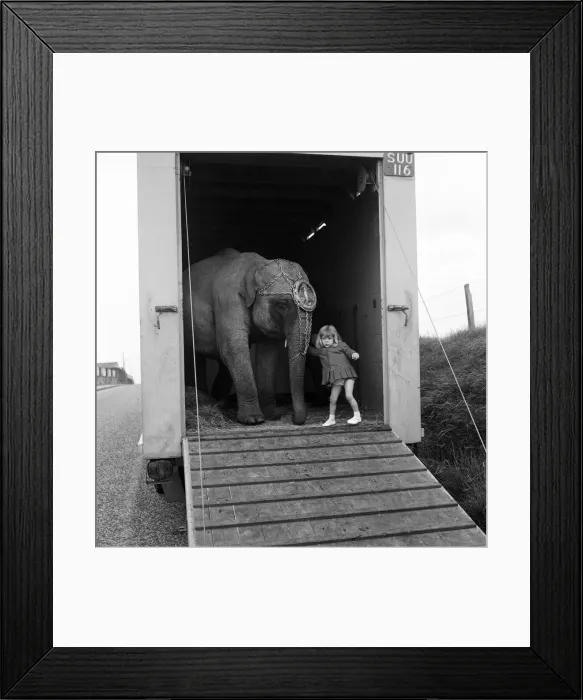 Framed Print : Three year old Juanita Jahn, daughter of Harry Jahn, elephant trainer with Billy Smarts