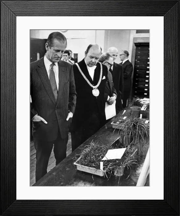 Framed Print : Prince Philip, Duke of Edinburgh visits Liverpool. The Duke looks at examples of grass Framed Print : Prince Philip, Duke of Edinburgh visits Liverpool. The Duke looks at examples of grass