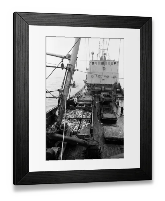 Framed Print : Scenes aboard Hull fishing trawler Ross Orion