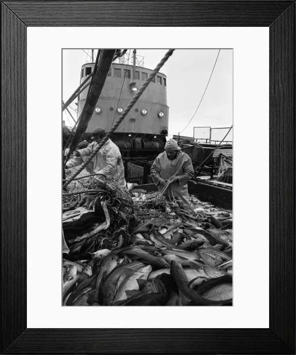 Framed Print : Scenes aboard Hull fishing trawler Ross Orion Framed Print : Scenes aboard Hull fishing trawler Ross Orion