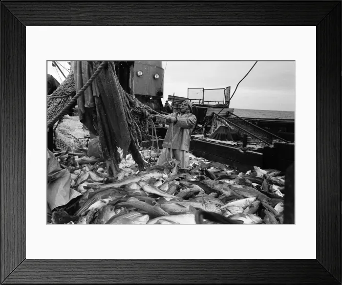 Framed Print : Scenes aboard Hull fishing trawler Ross Orion Framed Print : Scenes aboard Hull fishing trawler Ross Orion