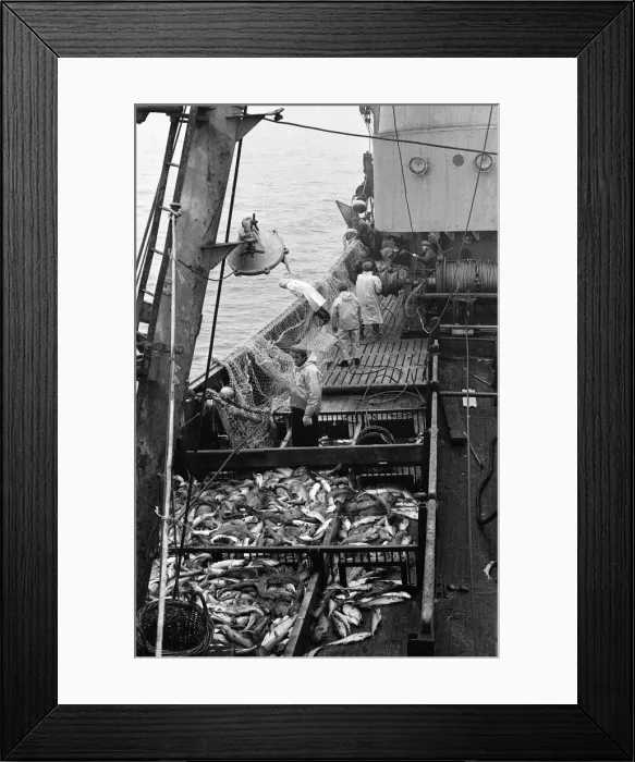 Framed Print : Scenes aboard Hull fishing trawler Ross Orion Framed Print : Scenes aboard Hull fishing trawler Ross Orion