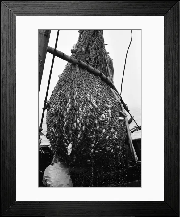 Framed Print : Scenes aboard Hull fishing trawler Ross Orion Framed Print : Scenes aboard Hull fishing trawler Ross Orion