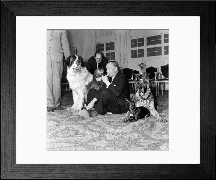 Framed Print : The National Association of Dog Biscuit Manufacturers cocktail party Framed Print : The National Association of Dog Biscuit Manufacturers cocktail party