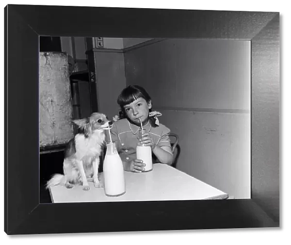A girl drinking milk through a straw with her pet dog. 15th September 1954