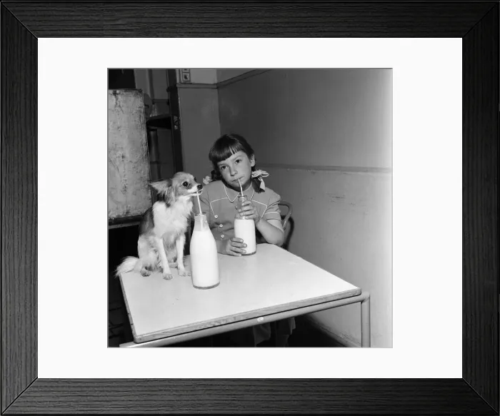 Framed Print : A girl drinking milk through a straw with her pet dog. 15th September 1954 Framed Print : A girl drinking milk through a straw with her pet dog. 15th September 1954