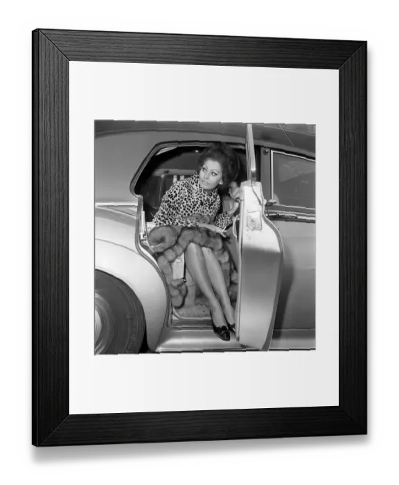 Framed Print : Sophia Loren arriving at London Airport. 15th January 1966 Framed Print : Sophia Loren arriving at London Airport. 15th January 1966