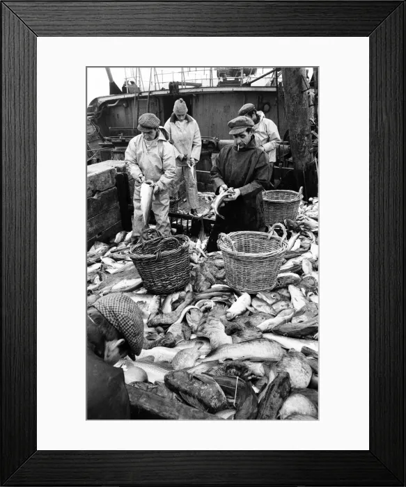 Framed Print : Scenes aboard Hull fishing trawler Ross Orion Framed Print : Scenes aboard Hull fishing trawler Ross Orion