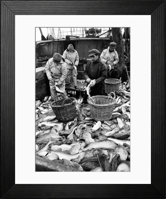 Framed Print : Scenes aboard Hull fishing trawler Ross Orion Framed Print : Scenes aboard Hull fishing trawler Ross Orion