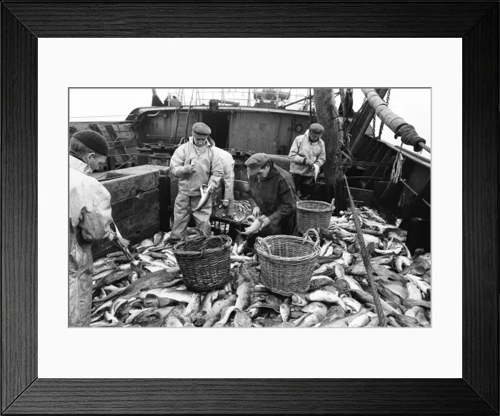 Framed Print : Scenes aboard Hull fishing trawler Ross Orion Framed Print : Scenes aboard Hull fishing trawler Ross Orion
