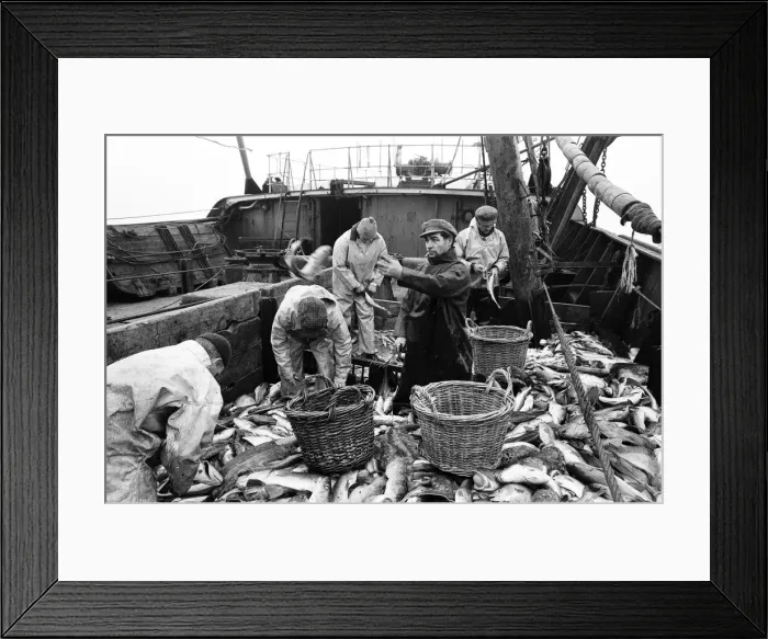 Framed Print : Scenes aboard Hull fishing trawler Ross Orion