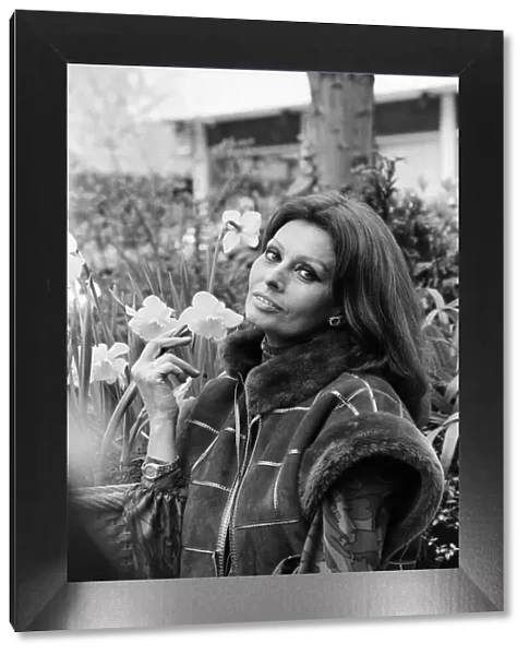 Sophia Loren pictured in London, promoting her new perfume 'Sophia'