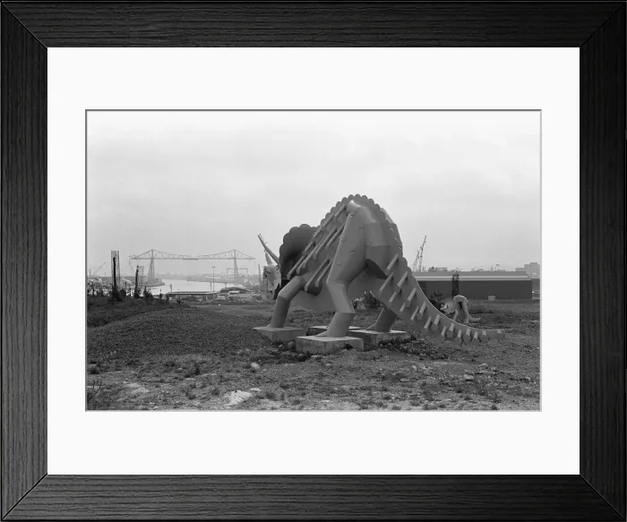 Framed Print : The Teessaurus a triceratops by Genevieve Glatt, fabricated by Harts of Stockton at a Framed Print : The Teessaurus a triceratops by Genevieve Glatt, fabricated by Harts of Stockton at a