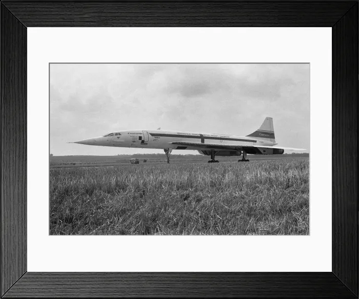 Framed Print : On a fine August day in 1977, Concorde 101 touches down at her final home at Duxford Framed Print : On a fine August day in 1977, Concorde 101 touches down at her final home at Duxford