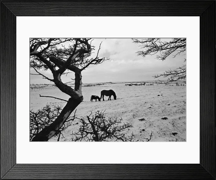 Framed Print : Snow blocks Whitby road. 1975 Framed Print : Snow blocks Whitby road. 1975