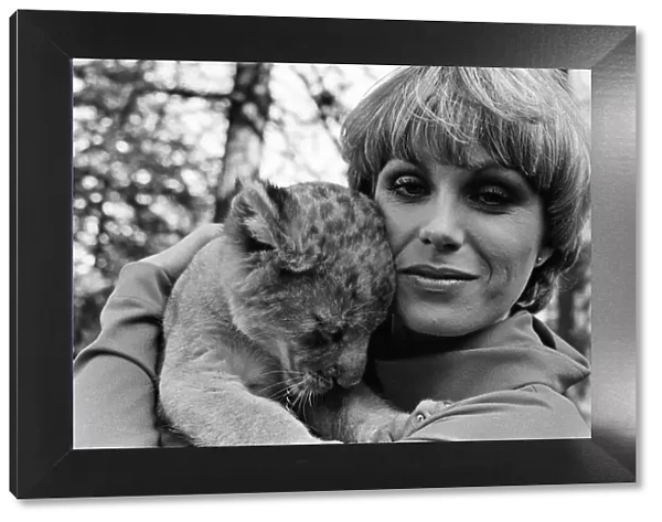 Stars of the new TV series 'The Avengers', Joanna Lumley with Sheba the lion