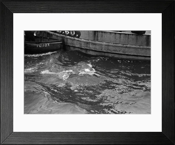 Framed Print : One girl and five men from Middlesbrough were making a bid to cross the Channel in both Framed Print : One girl and five men from Middlesbrough were making a bid to cross the Channel in both