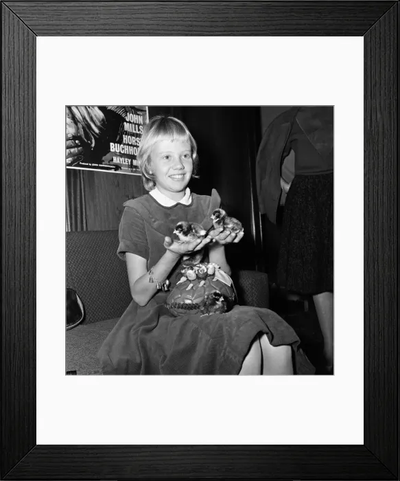 Framed Print : 12-year-old actress Hayley Mills holds a press conference at the Leicester Square Theatre Framed Print : 12-year-old actress Hayley Mills holds a press conference at the Leicester Square Theatre