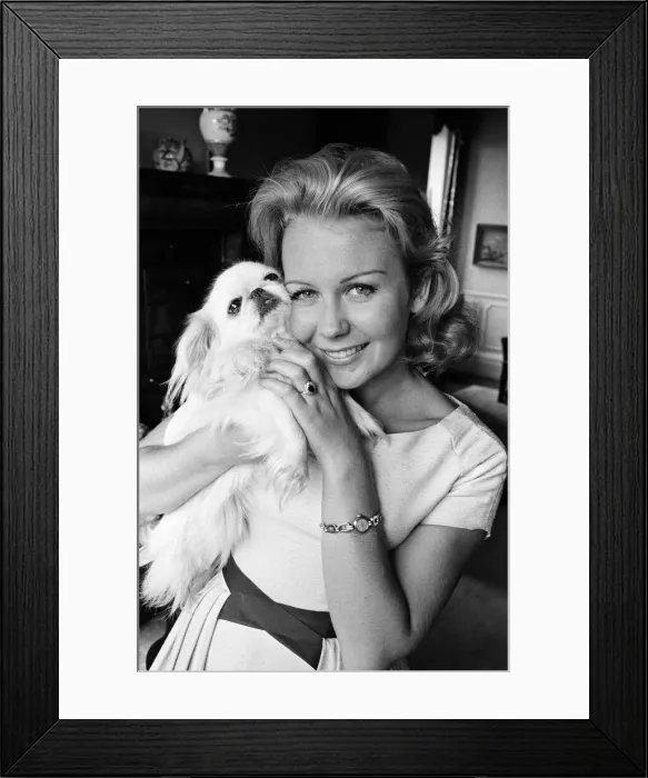Framed Print : Actress Juliet Mills wearing her engagement ring. 10th August 1961 Framed Print : Actress Juliet Mills wearing her engagement ring. 10th August 1961