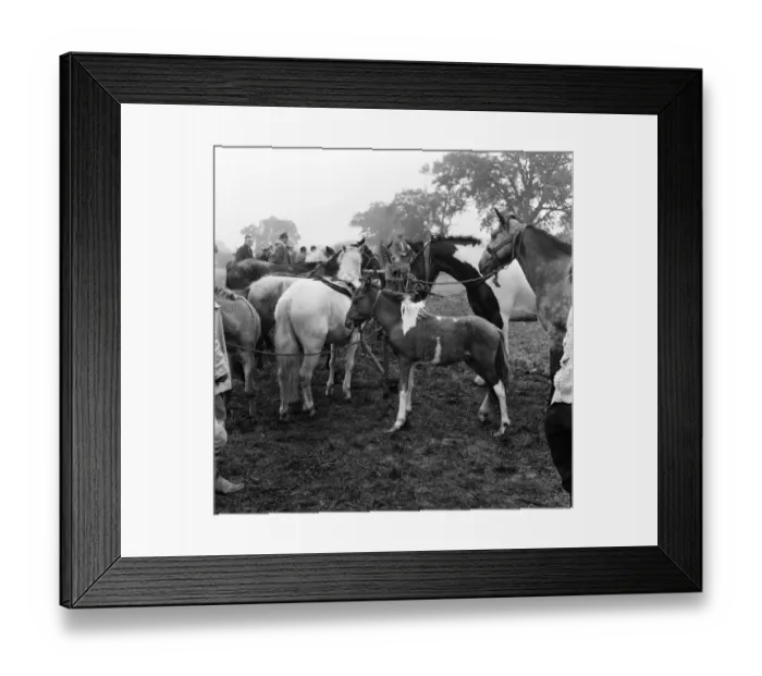 Framed Print : Barnet Fair in Barnet, Hertfordshire. The event has been held for hundreds of years