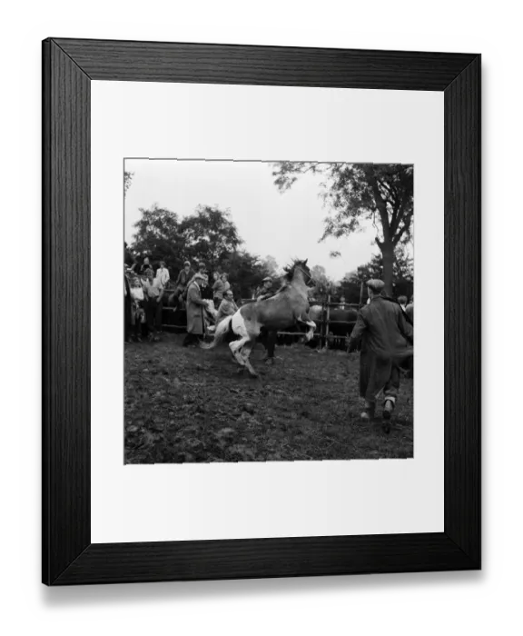Framed Print : Barnet Fair in Barnet, Hertfordshire. The event has been held for hundreds of years Framed Print : Barnet Fair in Barnet, Hertfordshire. The event has been held for hundreds of years