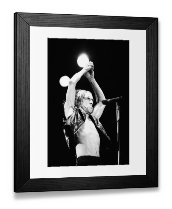 Framed Print : Iggy Pop (real name James Newell Osterberg Jr. ) appearing at The Reading Festival Framed Print : Iggy Pop (real name James Newell Osterberg Jr. ) appearing at The Reading Festival
