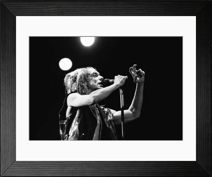 Framed Print : Iggy Pop (real name James Newell Osterberg Jr. ) appearing at The Reading Festival Framed Print : Iggy Pop (real name James Newell Osterberg Jr. ) appearing at The Reading Festival